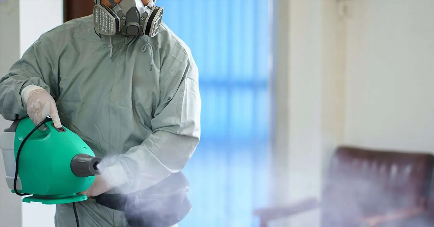 Fogging Services